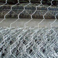 3/8 Inch Electro Galvanized Hexagonal Wire Mesh